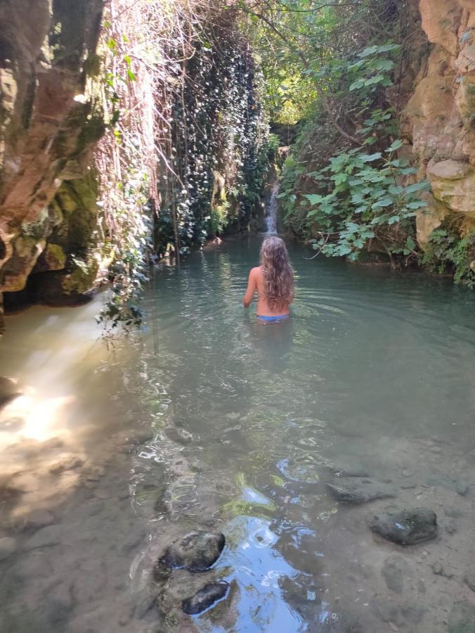 Casa Malferit Hostel Alcoleja ภายนอก รูปภาพ